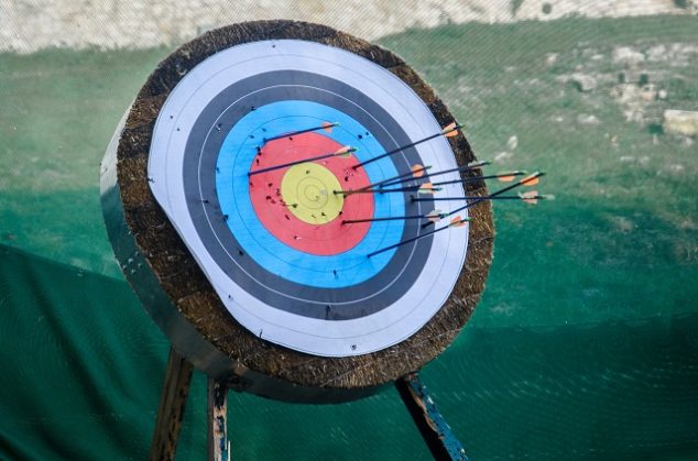Ultimate Guide To Backyard Archery Homeadvisor