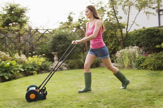 Homeadvisor online lawn mowing