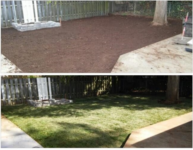2020 Sod Installation Costs Lay Yard Grass Or Resod A Lawn
