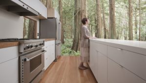 sustainable home cost