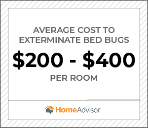 New York Bed Bug Exterminator