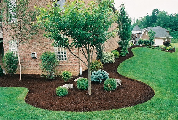 Landscaper's Soil Mix  Garden, Trees/Shrubs, Planting