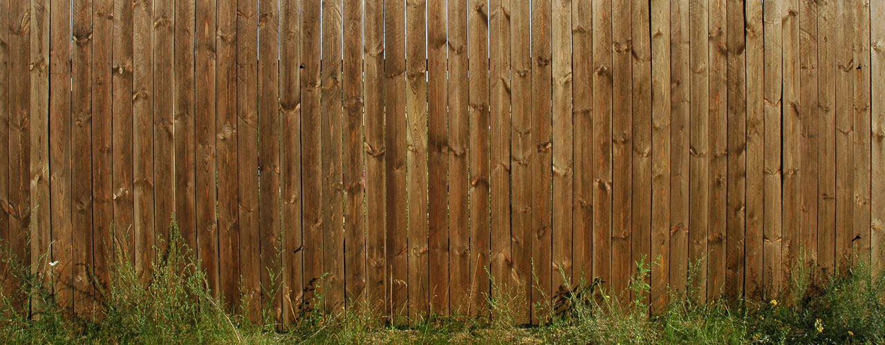 Pine wood fence in yard