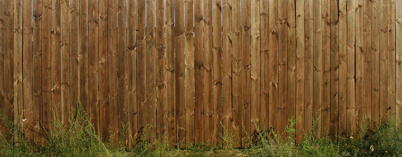 Pine wood fence in yard