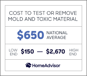 Mold Testing Company Near Me