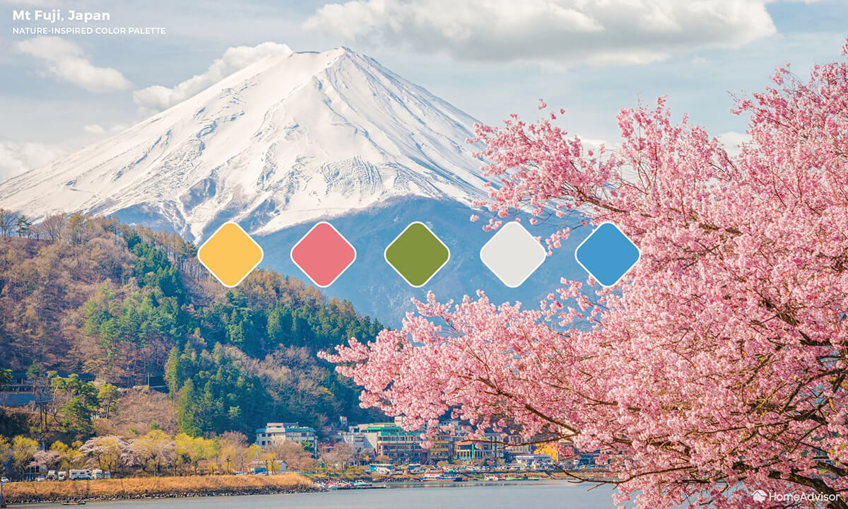 Pastel pink cherry blossom tree in the foreground of a picture of a snowcapped Mt Fuji