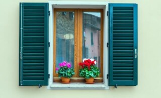 teal shutters against a light green house