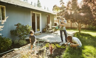 Family watering garden in backyard on summer morning