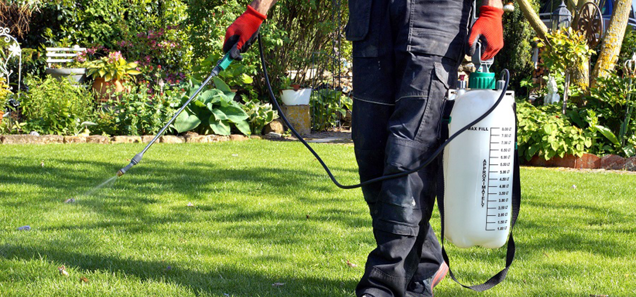 pesticide spray on lawn