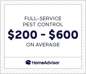 Pest Control Chilliwack