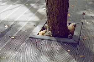 plastic decking around a tree