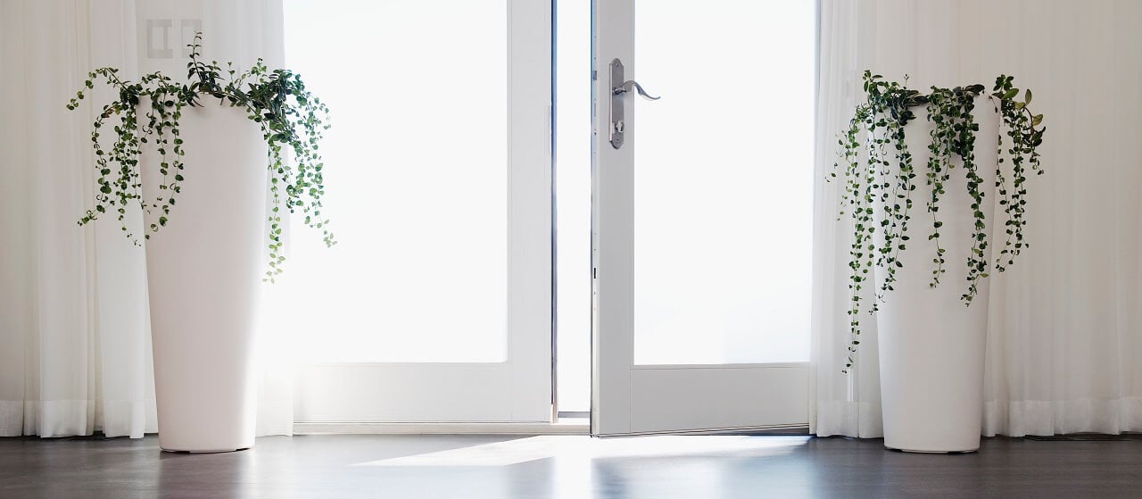 close-up of glass door with plants on either side