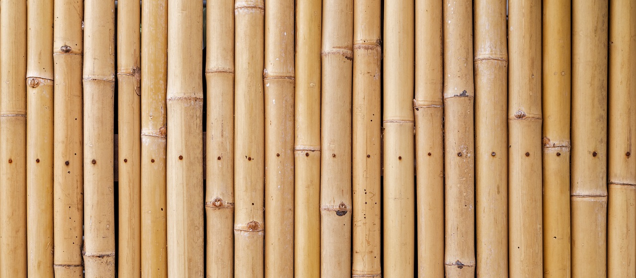 close-up of bamboo fencing