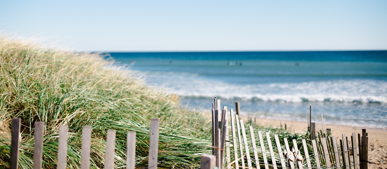 close up of a reed fence at the beach