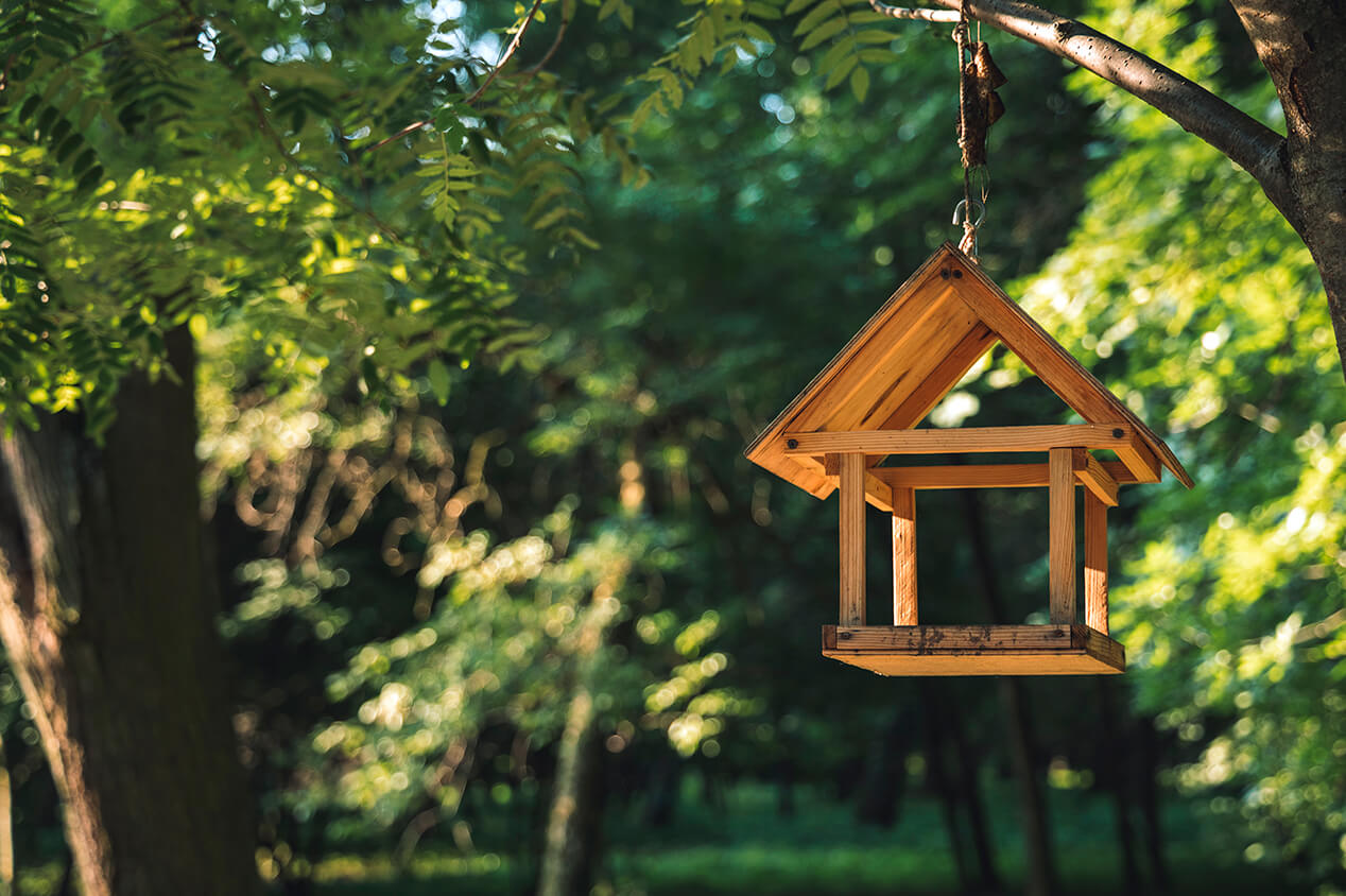 bird home hanging from tree