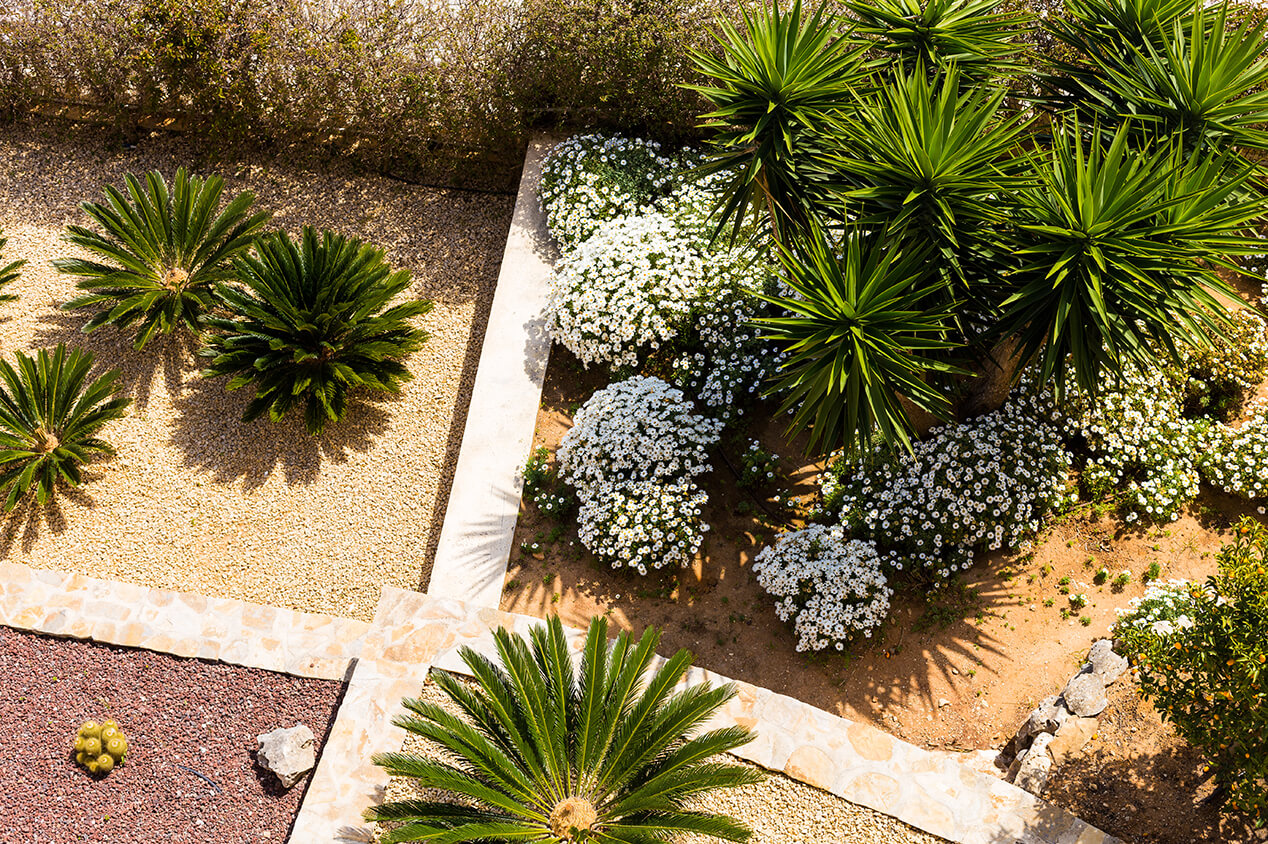 hardscape with plants