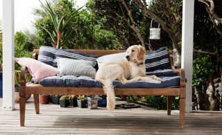 dog sitting on outdoor sofa