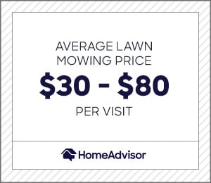 Average Lawn Care Service Prices : 2021 Lawn Care Services Prices Yard Maintenance Cost : Everything that you need to know about lawn care pricing.