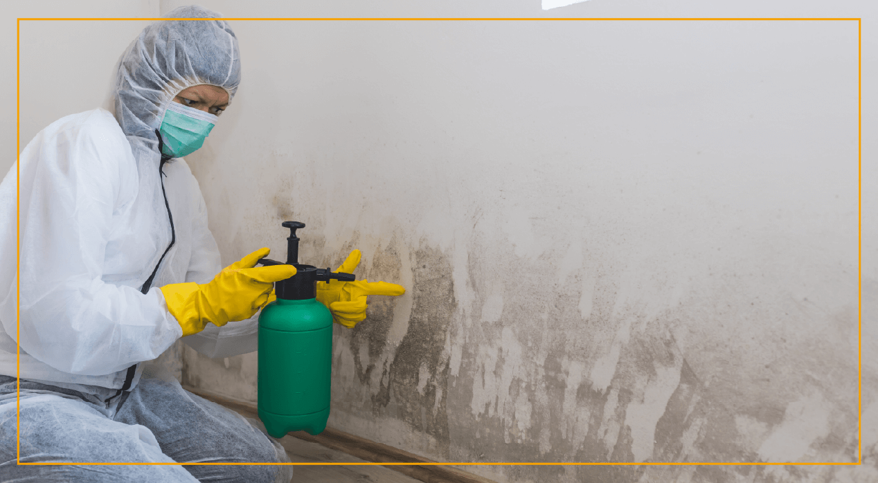 Woman with protective clothing spraying moldy wall