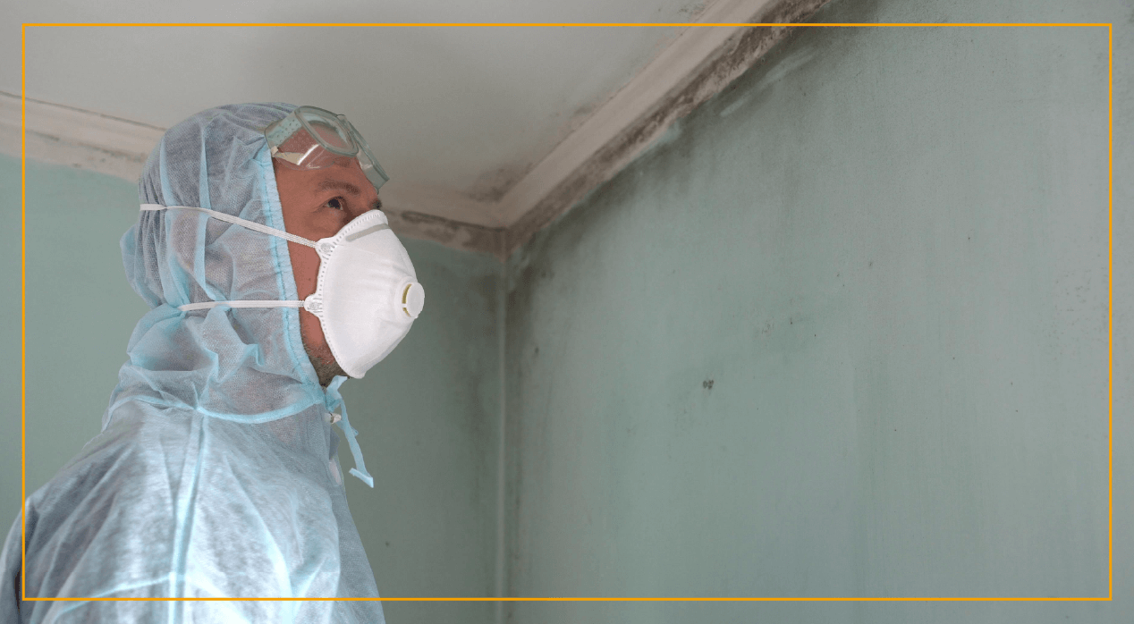 Man with protective clothing looking at mold