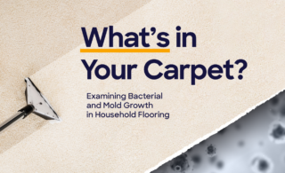 image with text saying, "What's in your carpet?"