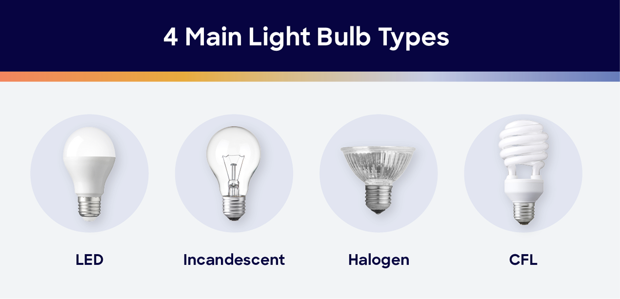 four main light bulb types