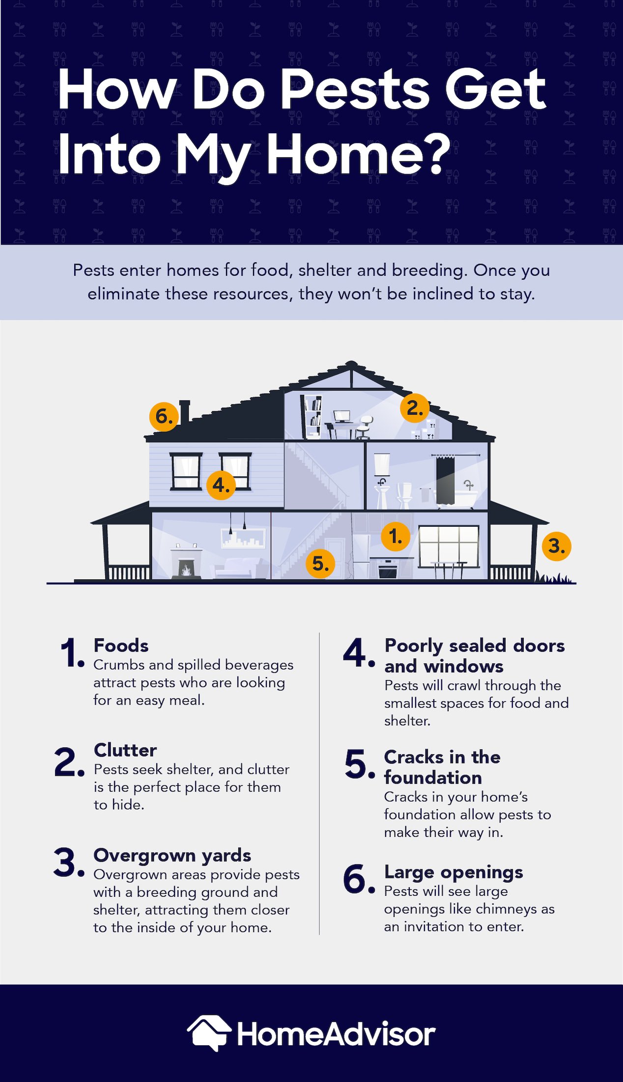infographic identifying points where pests can enter your home