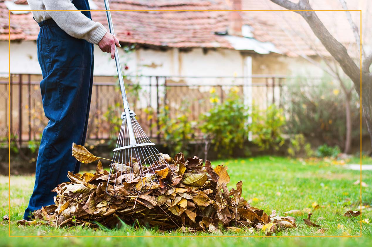 person raking leaves in yard
