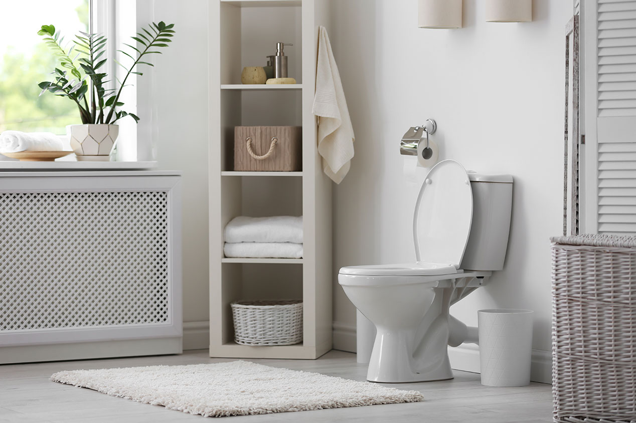 Toilet with lid open in bright bathroom