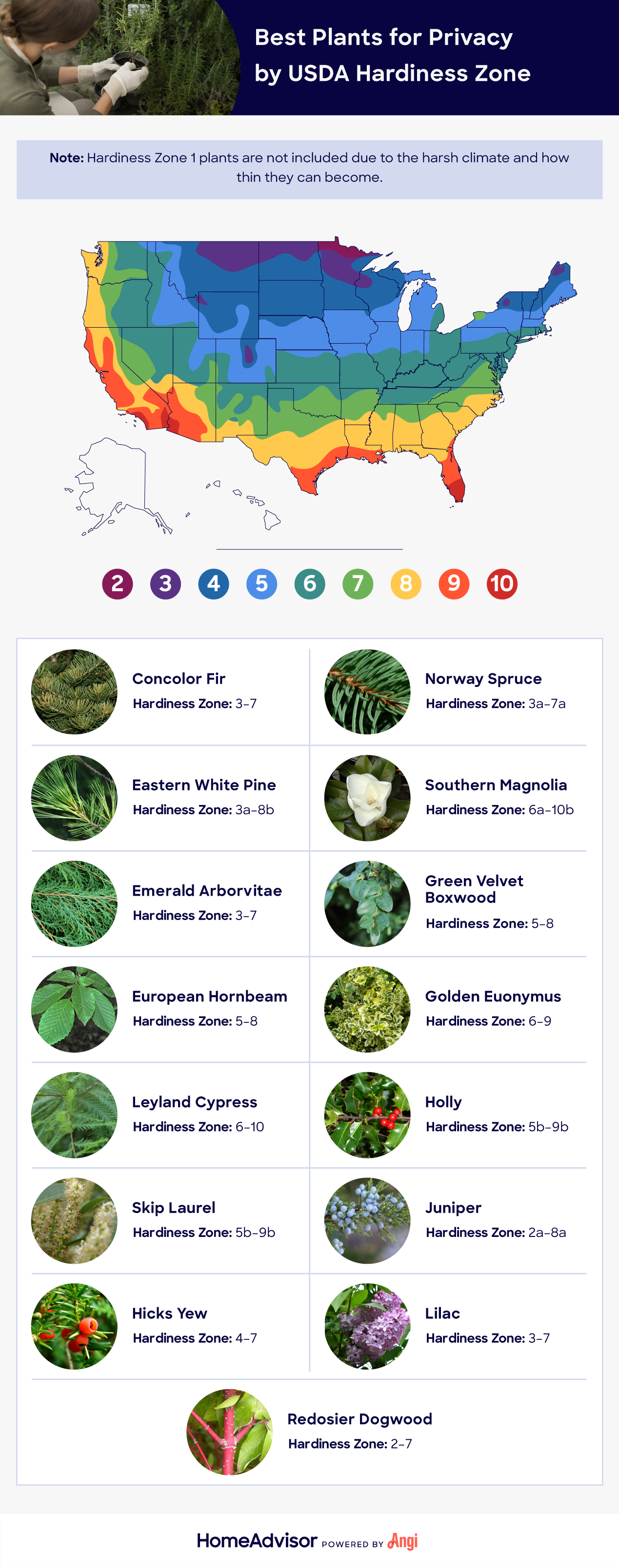 usda hardiness zone for privacy plants