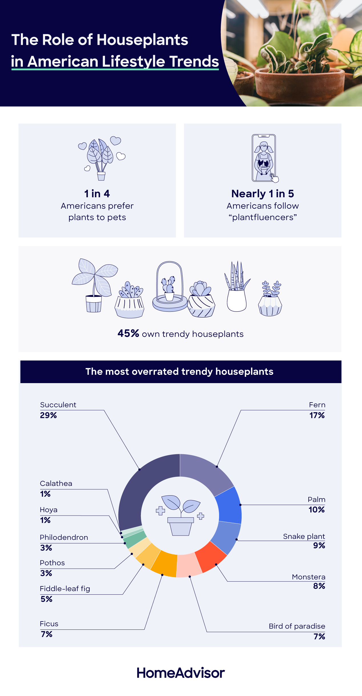 current lifestyle trends with houseplants