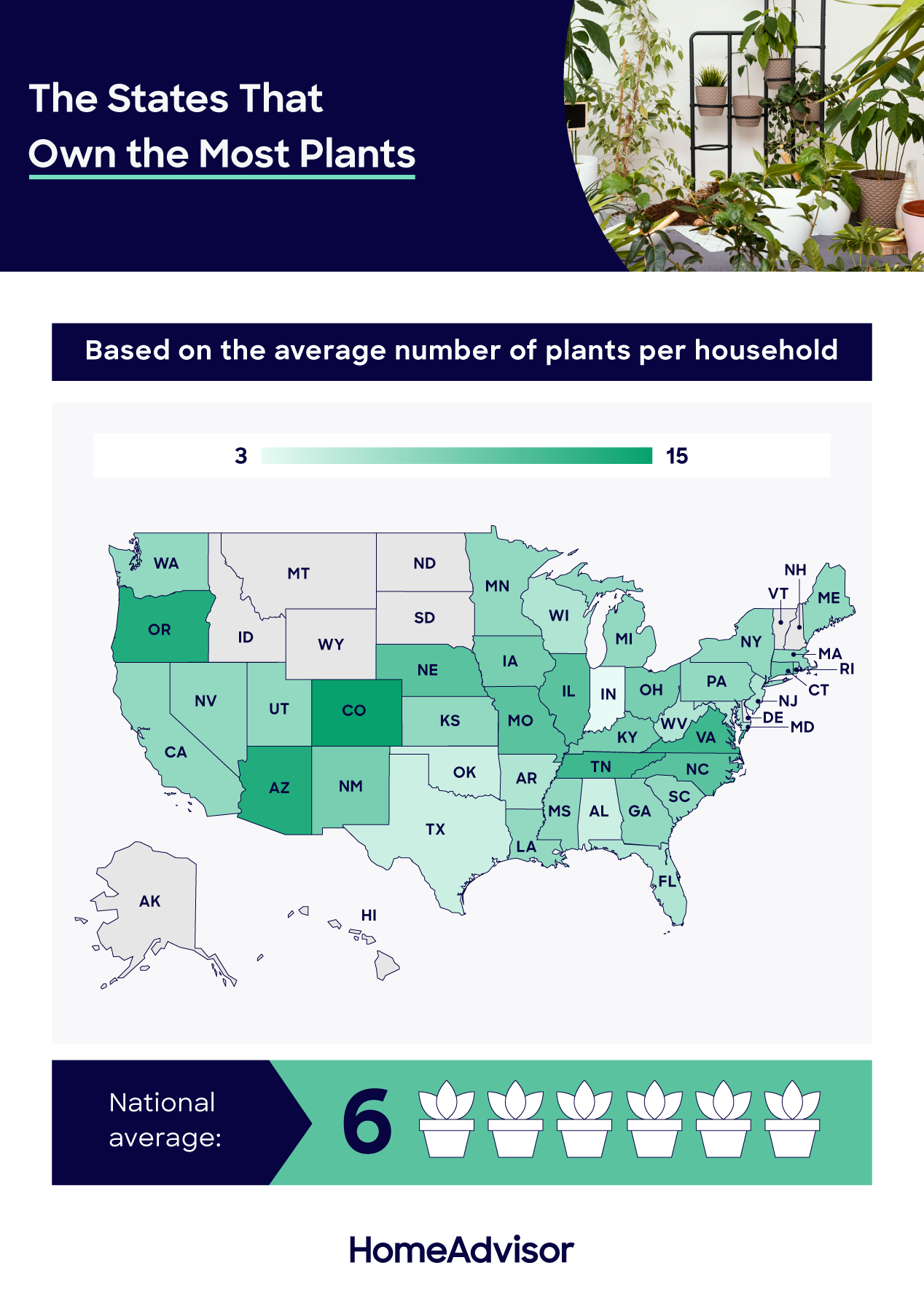 plant ownership