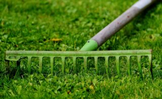 green rake on lawn
